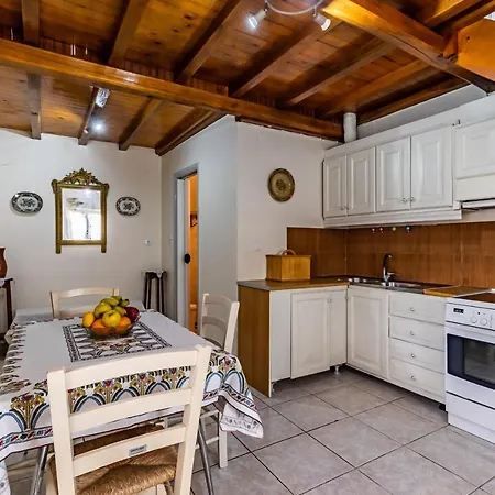 Apartament Vasia House *